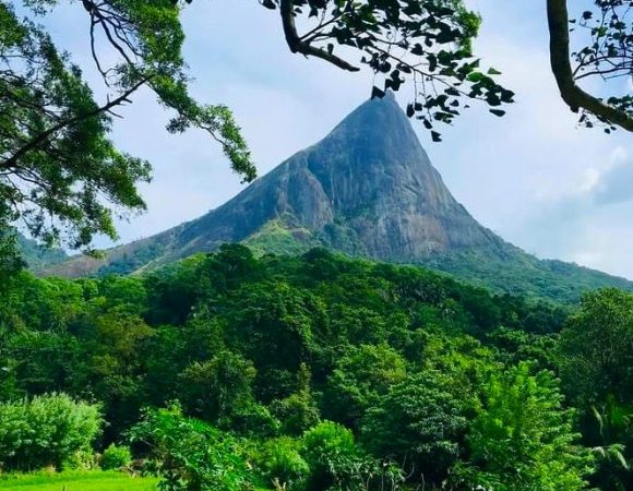 Knuckles Mountain Range Trekking Guide: Trails, Tips & Budget Options