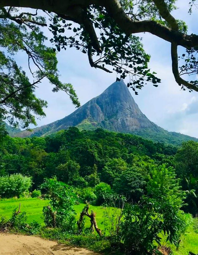 Knuckles Mountain Range Trekking Guide: Trails, Tips & Budget Options