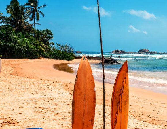Surf & Chill in Arugam Bay
