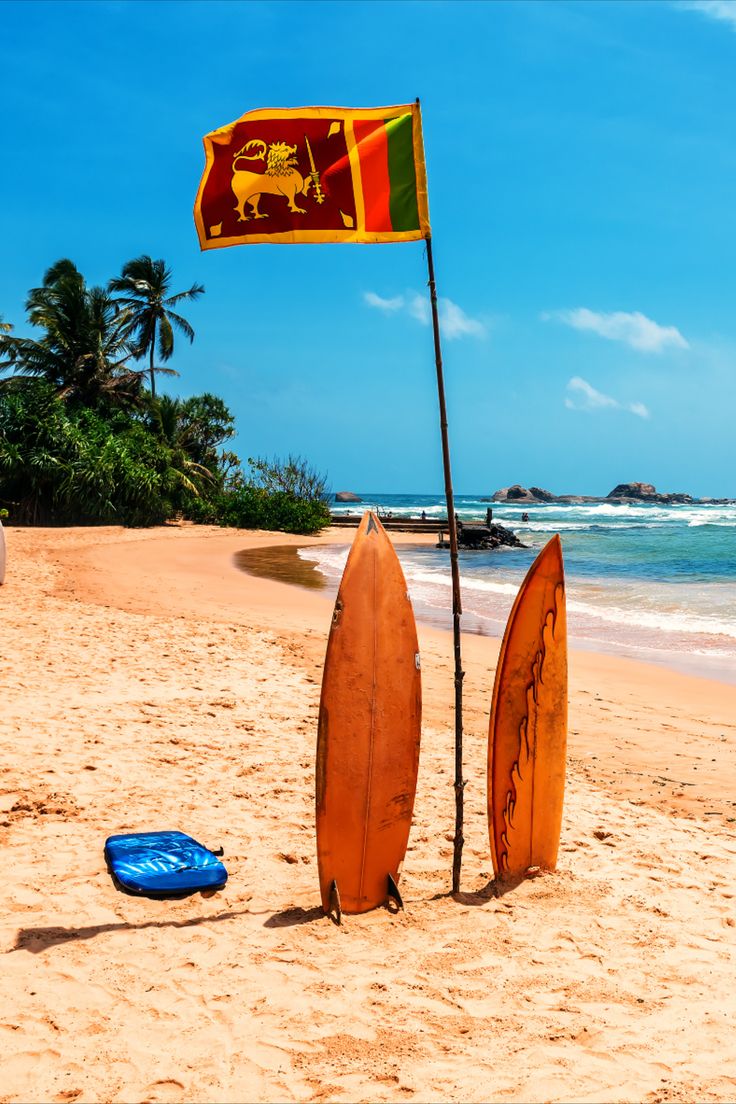 Surf & Chill in Arugam Bay