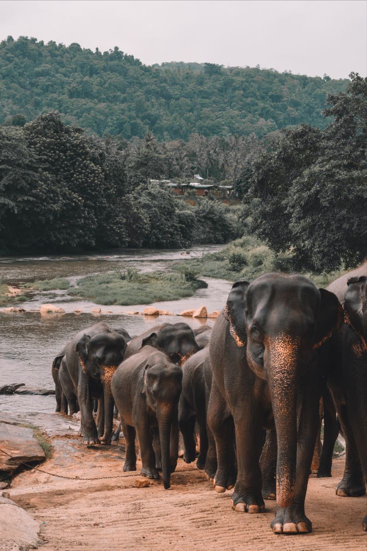 Udawalawe